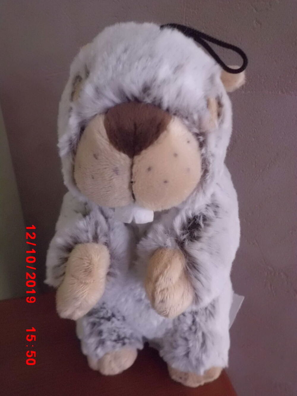 marmotte paco diffusion Jeux / jouets