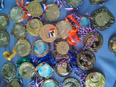 M�dailles karat�
50 Toulon (83)