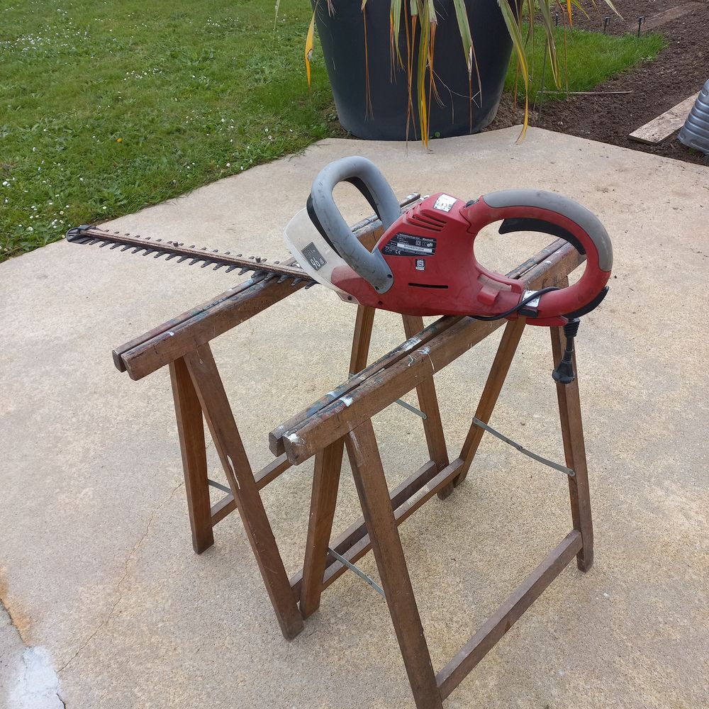 Taille Haies Jardin