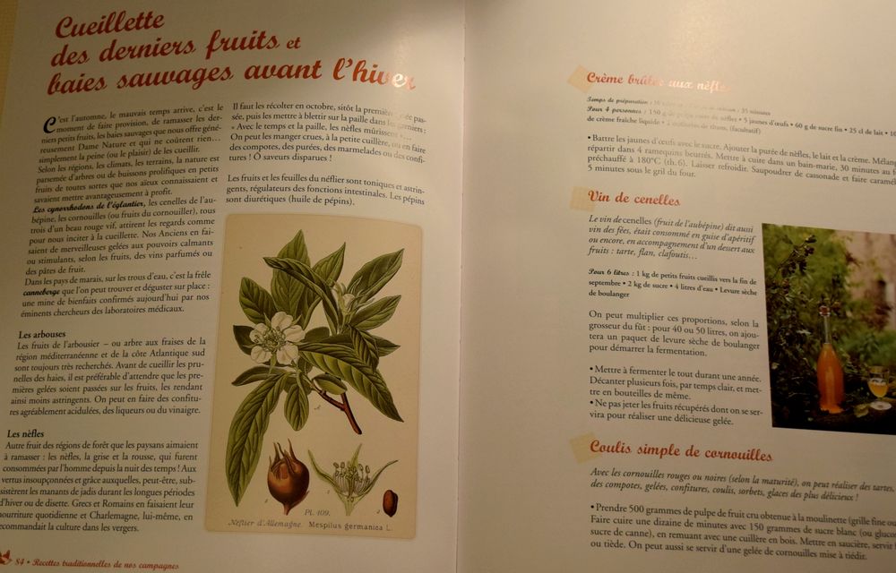 Recettes Traditionnelles de nos Campagne - Lise B&eacute;s&egrave;me Pia 2 Cuisine