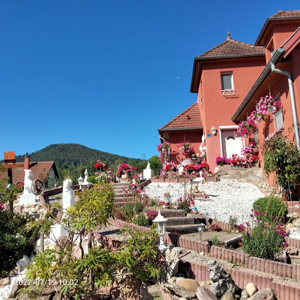   STUDIO 40 M2 3 PERS. CHEZ ASTRID & PIERRE
ORBEY ALSACE Alsace, Orbey (68370)