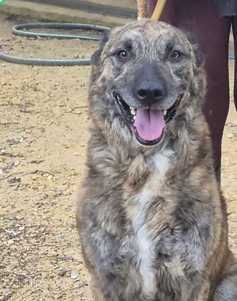 Charly 230 26700 Pierrelatte