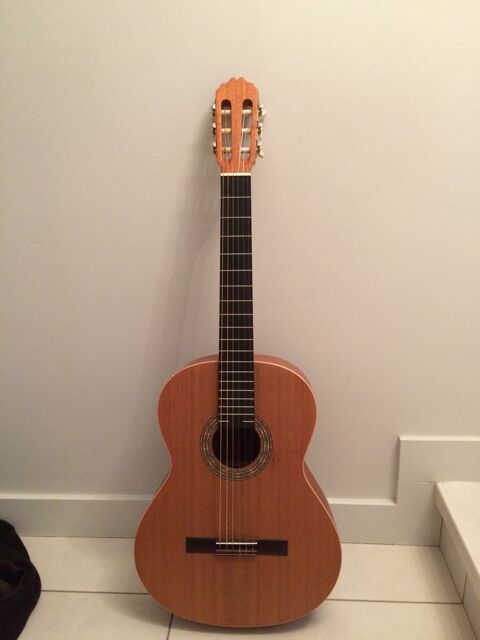 Guitare s�che  100 Saint-Marcellin-en-Forez (42)