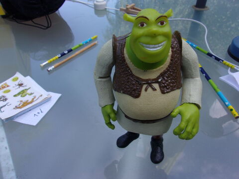 Personnage Shrek 10 Villars-les-Dombes (01)