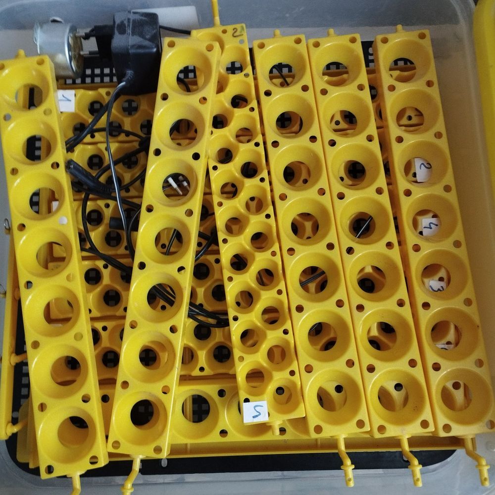 couveuse automatique Bricolage