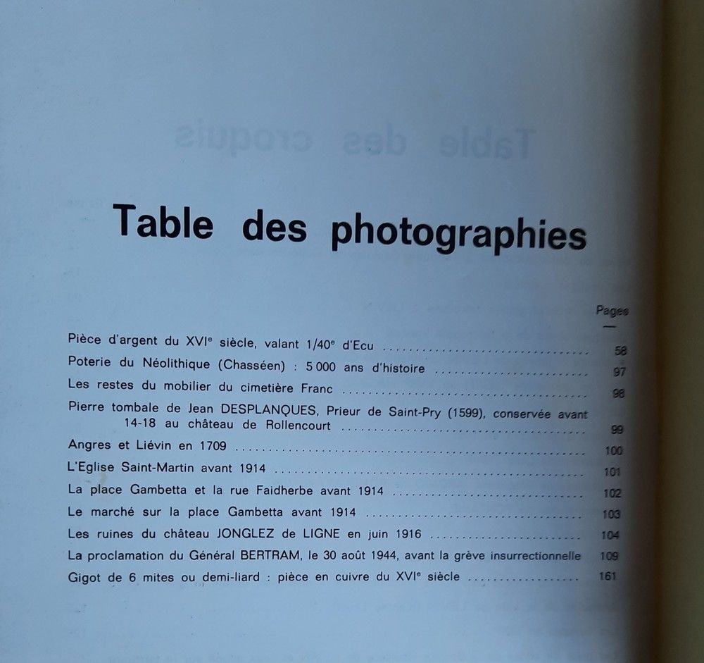 Li&eacute;vin - de la pierre polie a? nos jours Livres et BD