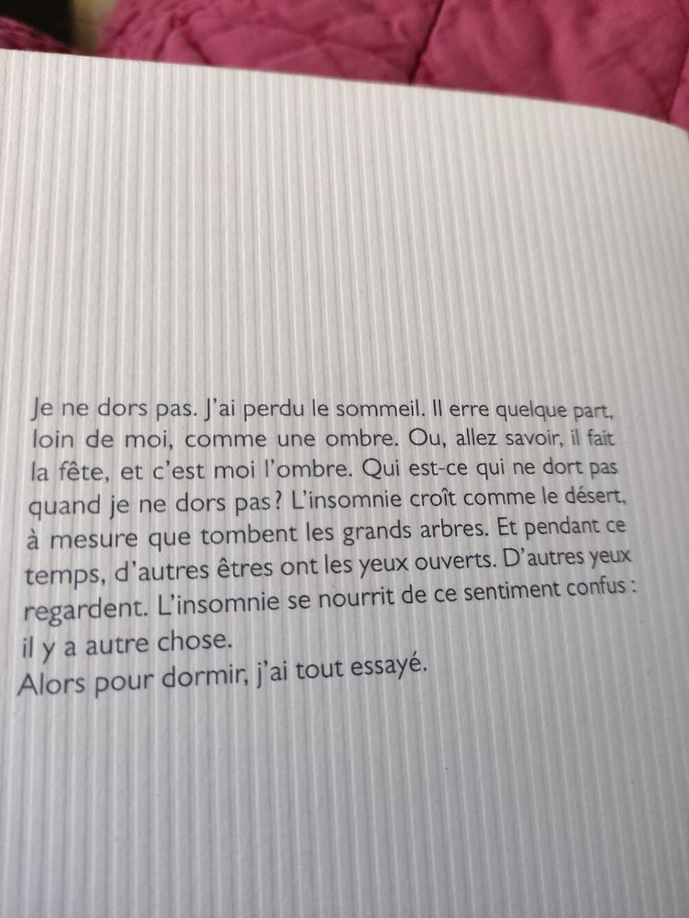 Marie Darrieussecq "Pas Dormir" Ed. POL Livres et BD