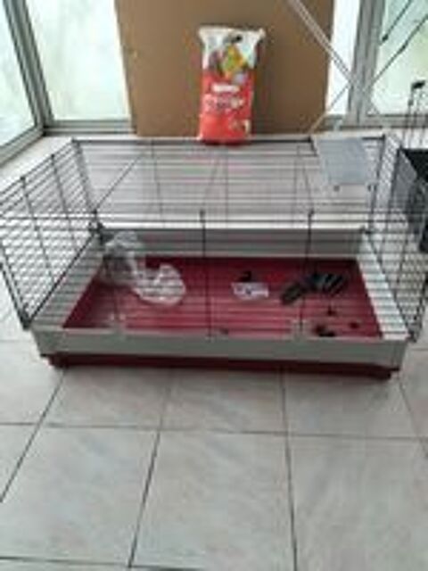   Cage rongeur  