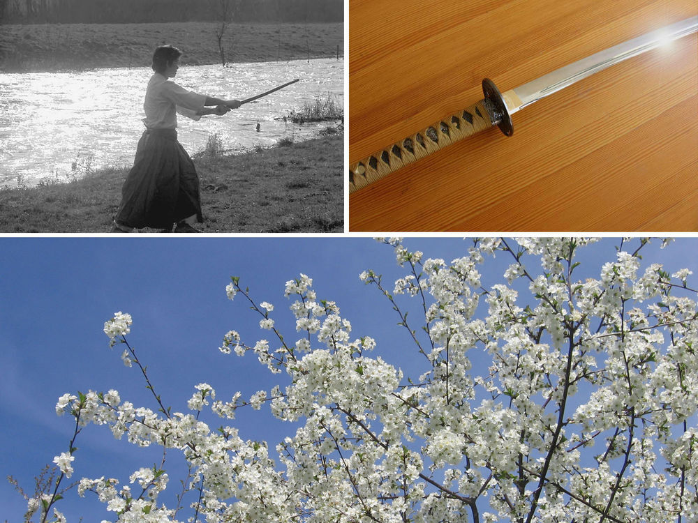   Cours de Kenjutsu, Iaido - Paris sud 14e 