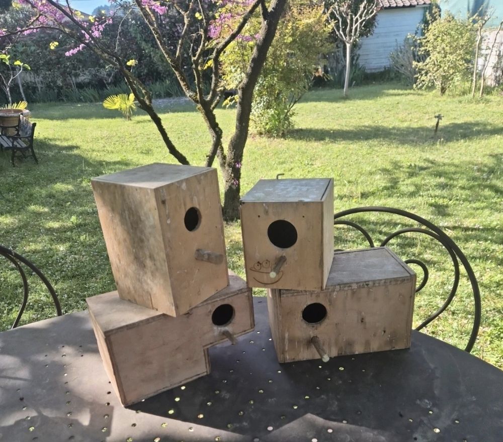   lot Nids Nichoirs bois pour oiseaux exotiques BE 