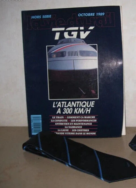 La Vie du Rail TGV + Cadeau 18 Brem-sur-Mer (85)