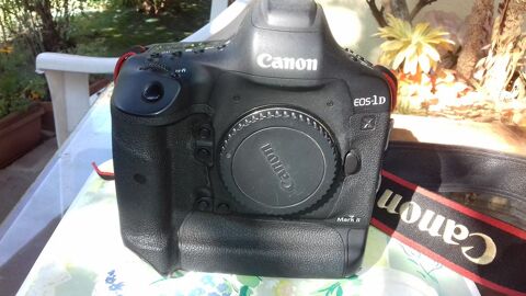 Canon EOS DX Mark 2 1500 Alb (67)