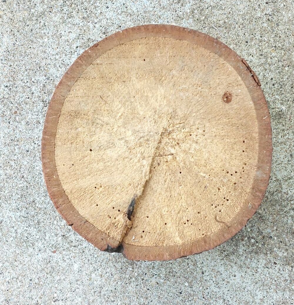 Billot en bois Décoration