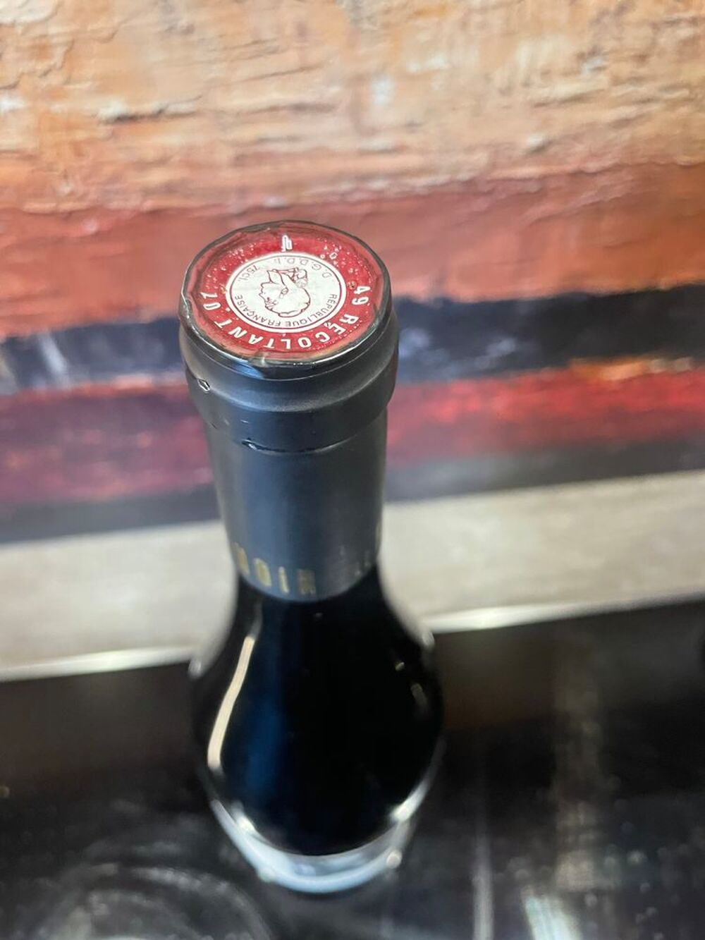 1 Bt Loire Anjou Villages Somnambule 2021 Le Fief Noir Cuisine