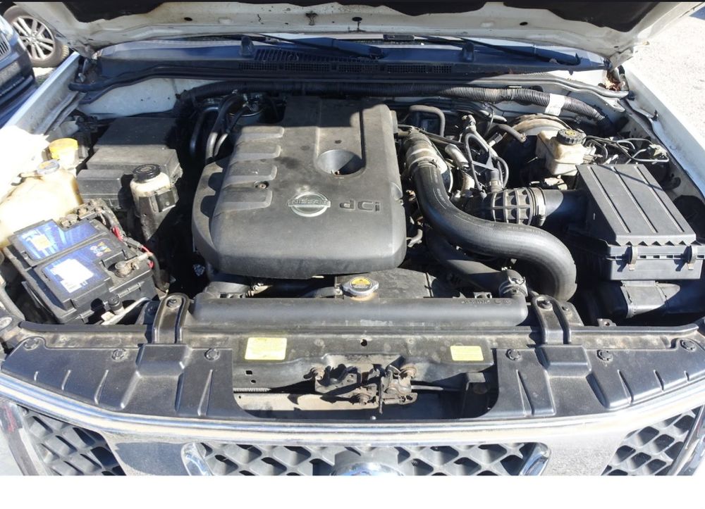 Navara 2.5 dCi 171 ch King Cab LE (8 CV) 2009 occasion 20260 Calvi