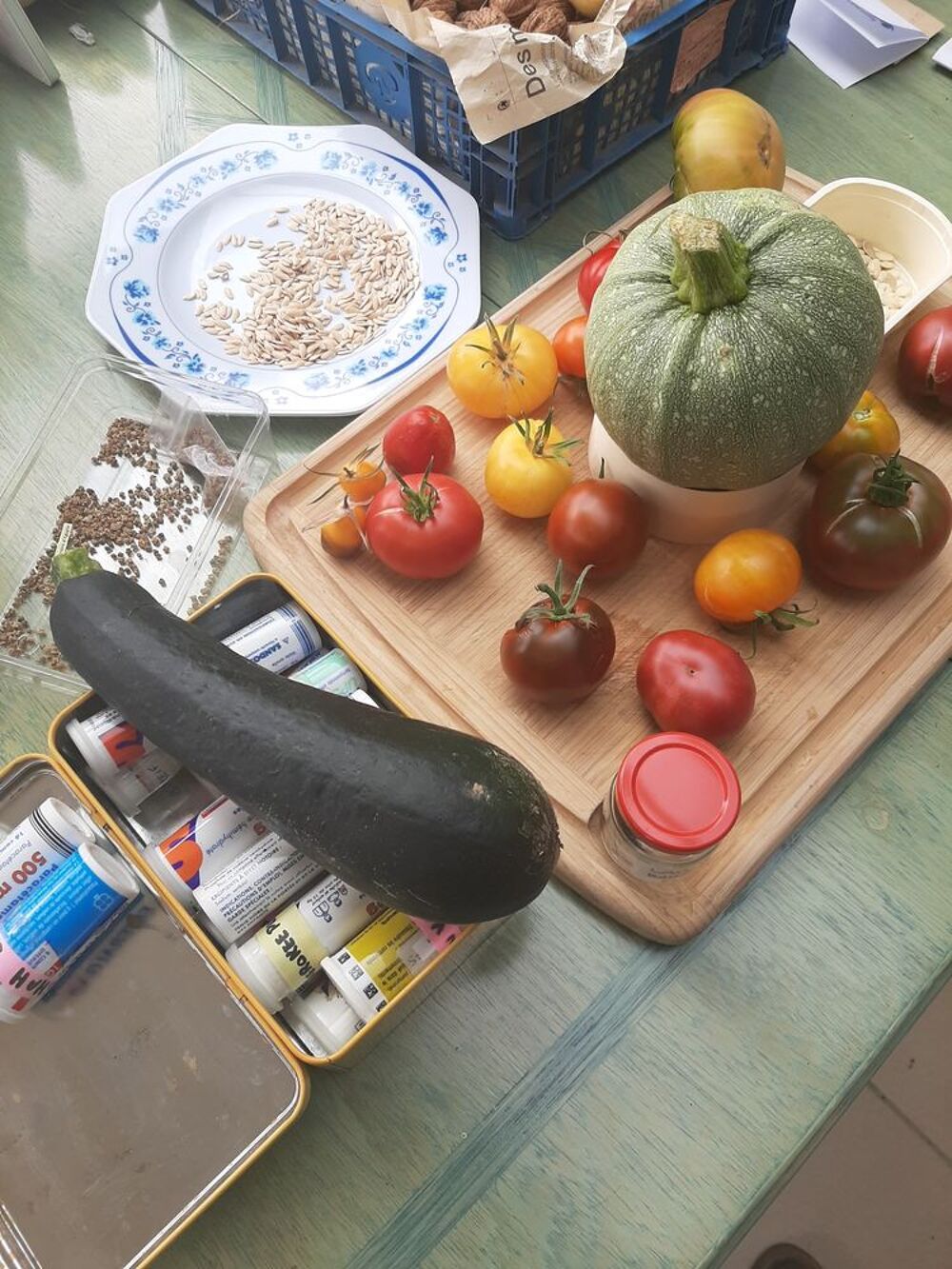 collection graines:tomates anciennes. Jardin