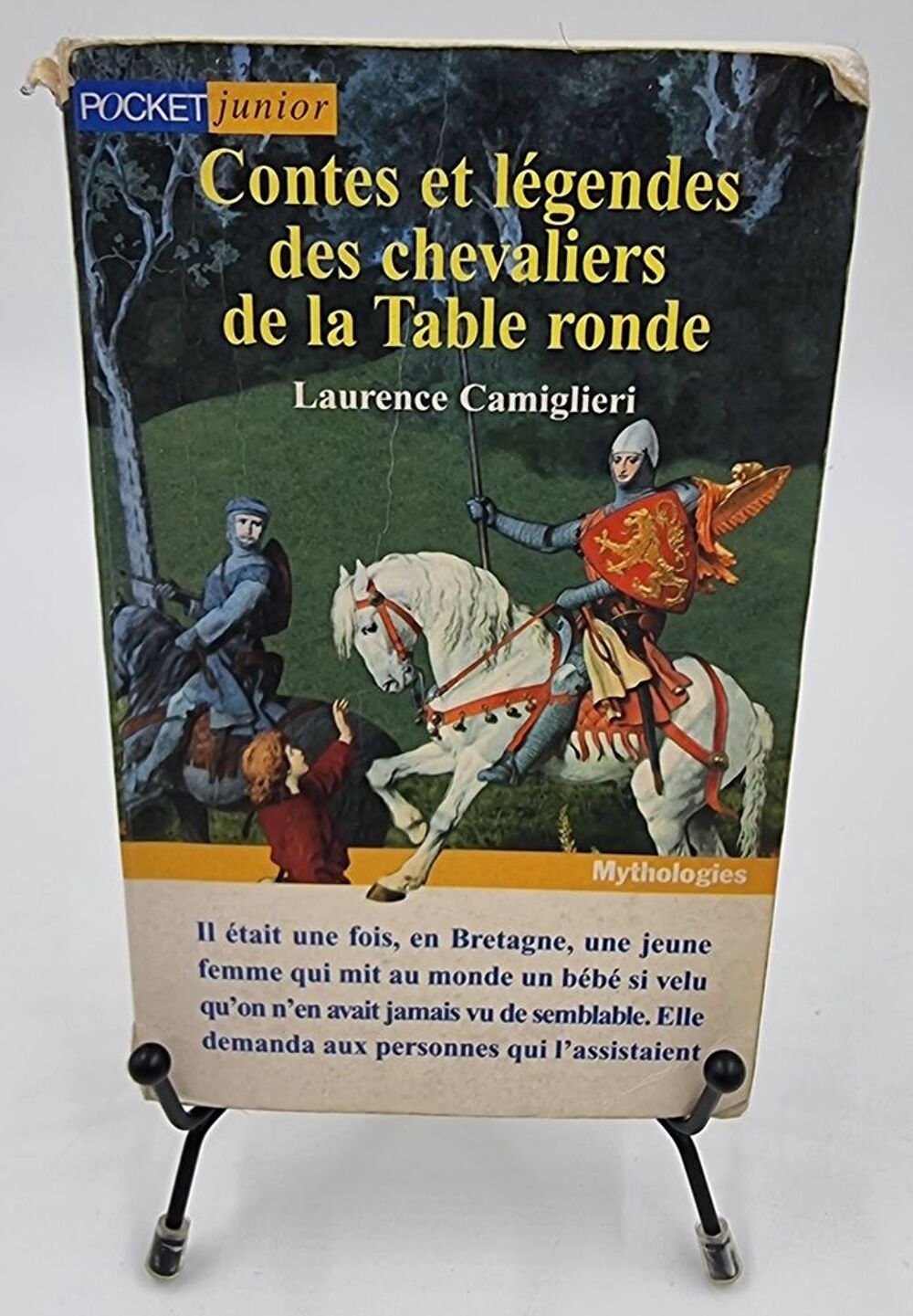 Livre Contes et L&eacute;gendes des Chevaliers de la Table Ronde Livres et BD