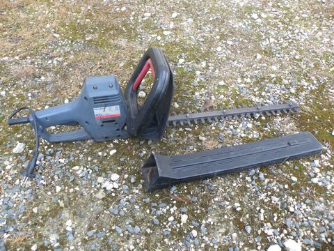 Taille Haie 20 Gr�zac (17)