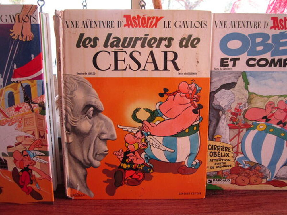 album ast&eacute;rix Livres et BD