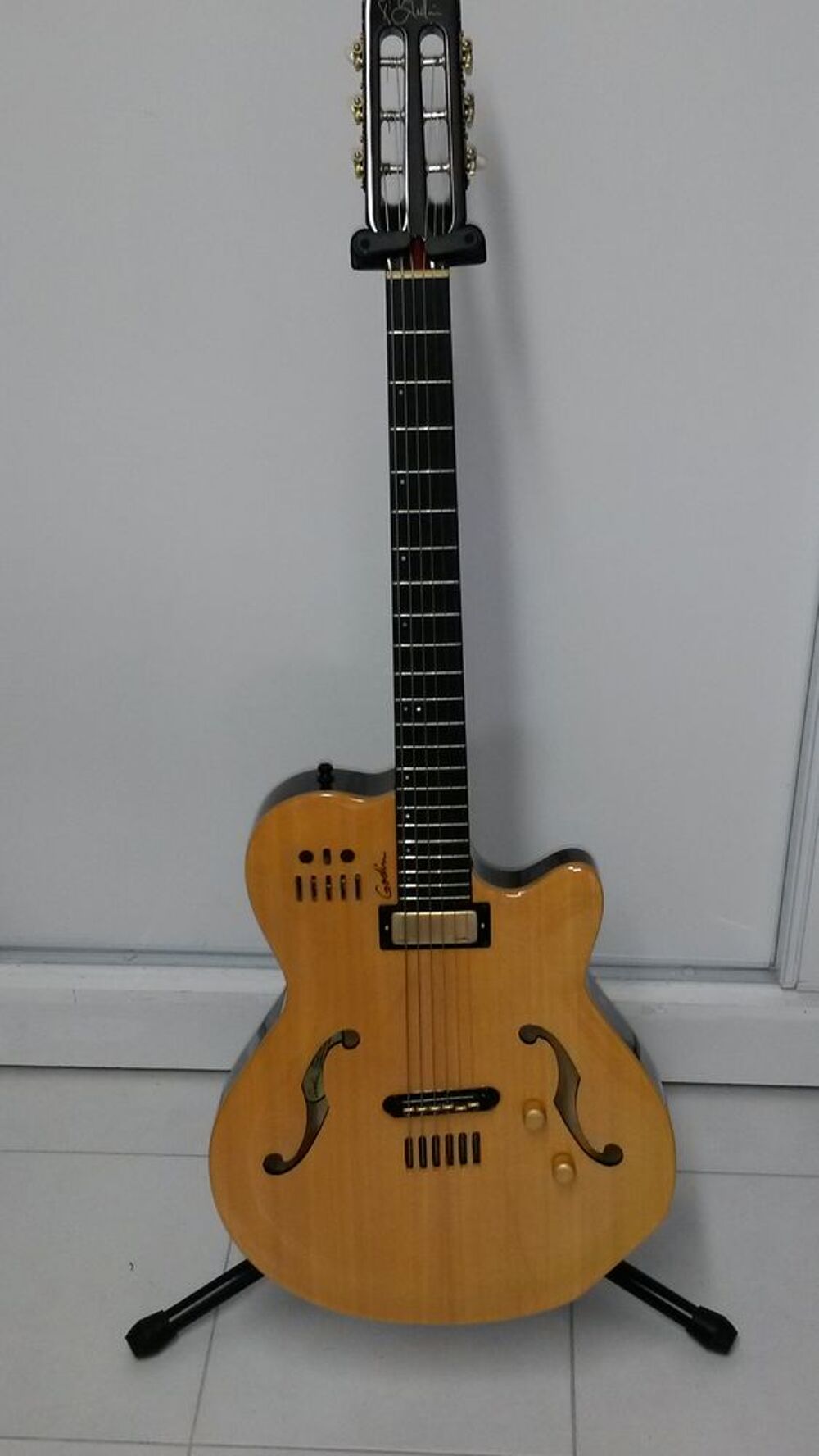 godin multiac jazz Instruments de musique
