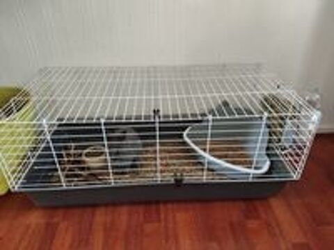   Lapin +cage 100 cm * 50 cm 