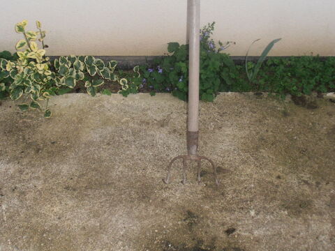 croc fumier 10 Rethel (08)