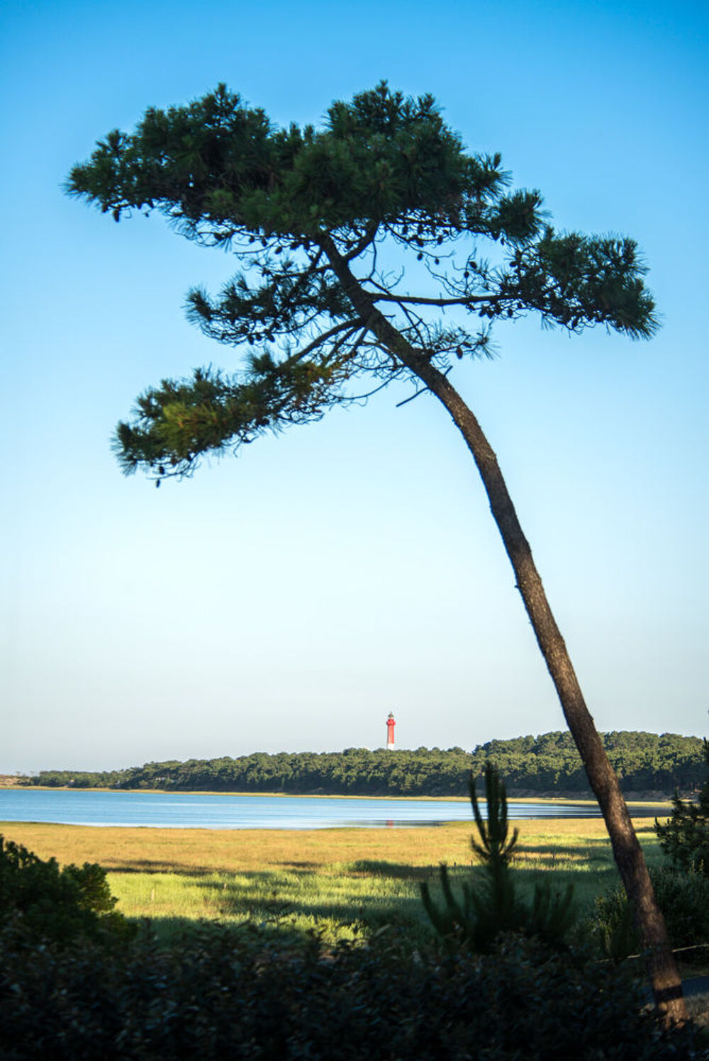 2015 occasion 17570 La Palmyre