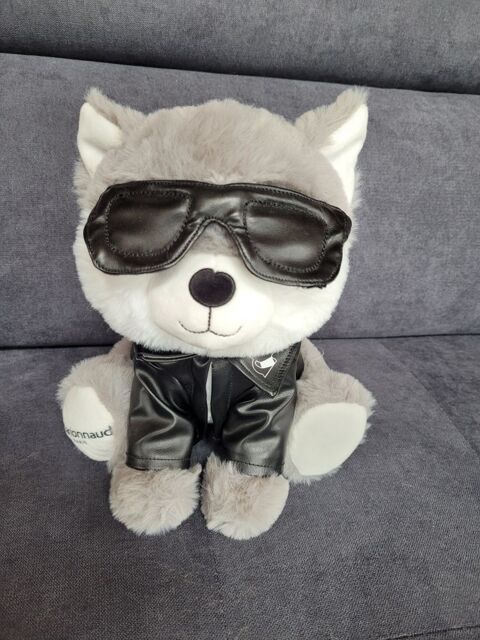 Chat Karl Lagerfeld 30 Chaudenay (52)