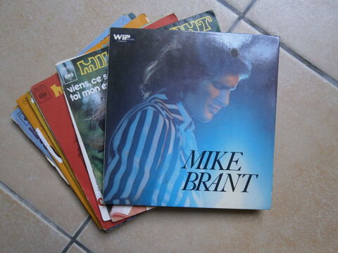 DISQUES VINYLE (Divers) 4 Lavaur (81)