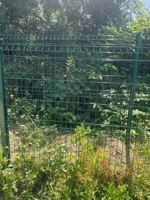 13 grilles Clôture rigide / panneau de clôture Angers (49)