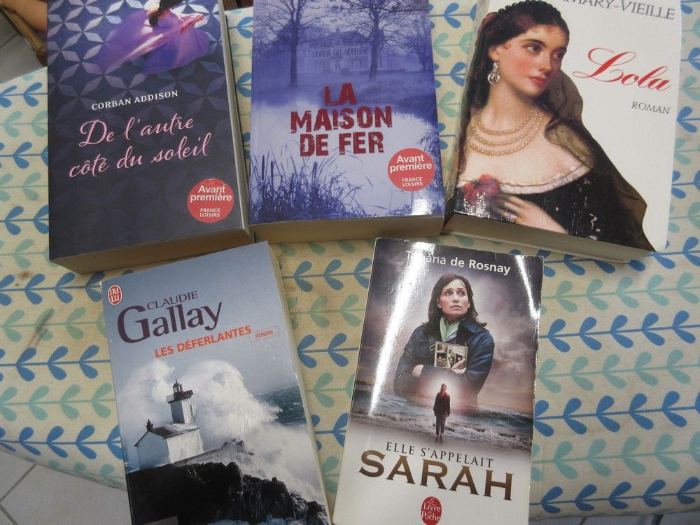 Livre Elle s'appelait Sarah + autres livres Livres et BD