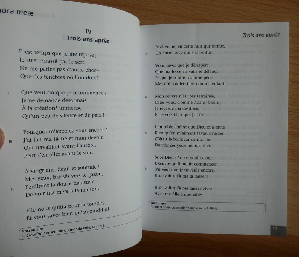 Livre : Pauca meae. Livre IV des Contemplations : NEUF Livres et BD