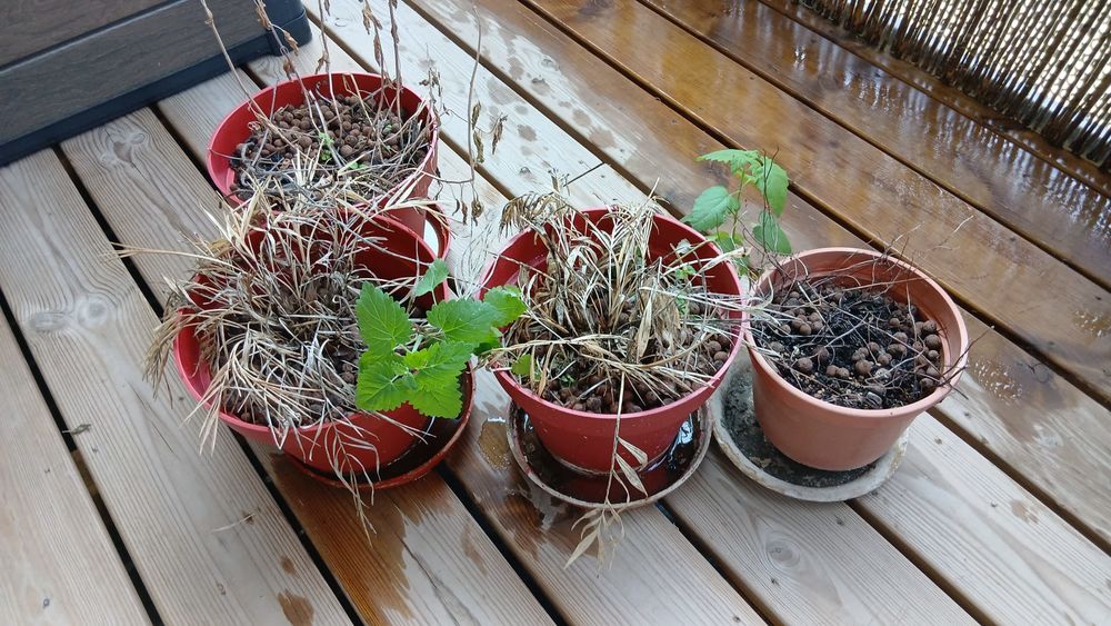 Pots de fleurs Jardin