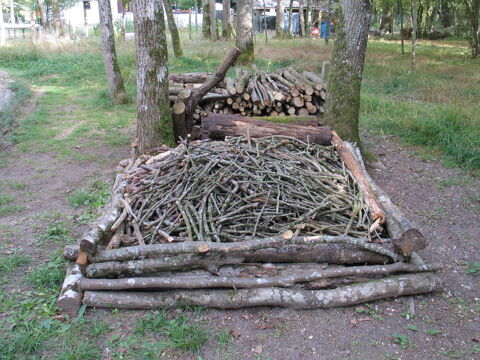 Charbonnette et gros bois de chauffage 30 Griselles (45)