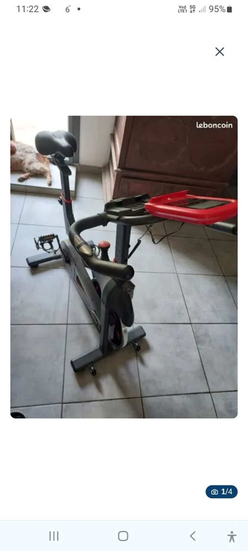 V&eacute;lo magn&eacute;tique d'appartement Sports