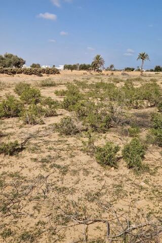  Terrain � vendre 10693 m� Tezdaine djerba