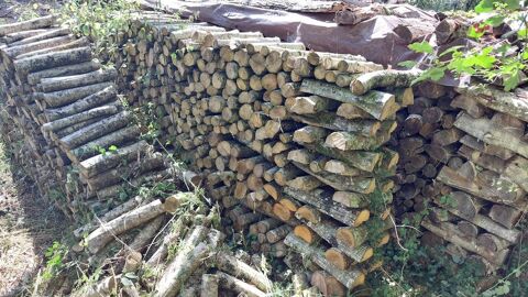 Bois sec 60 Dompierre-sur-Besbre (03)