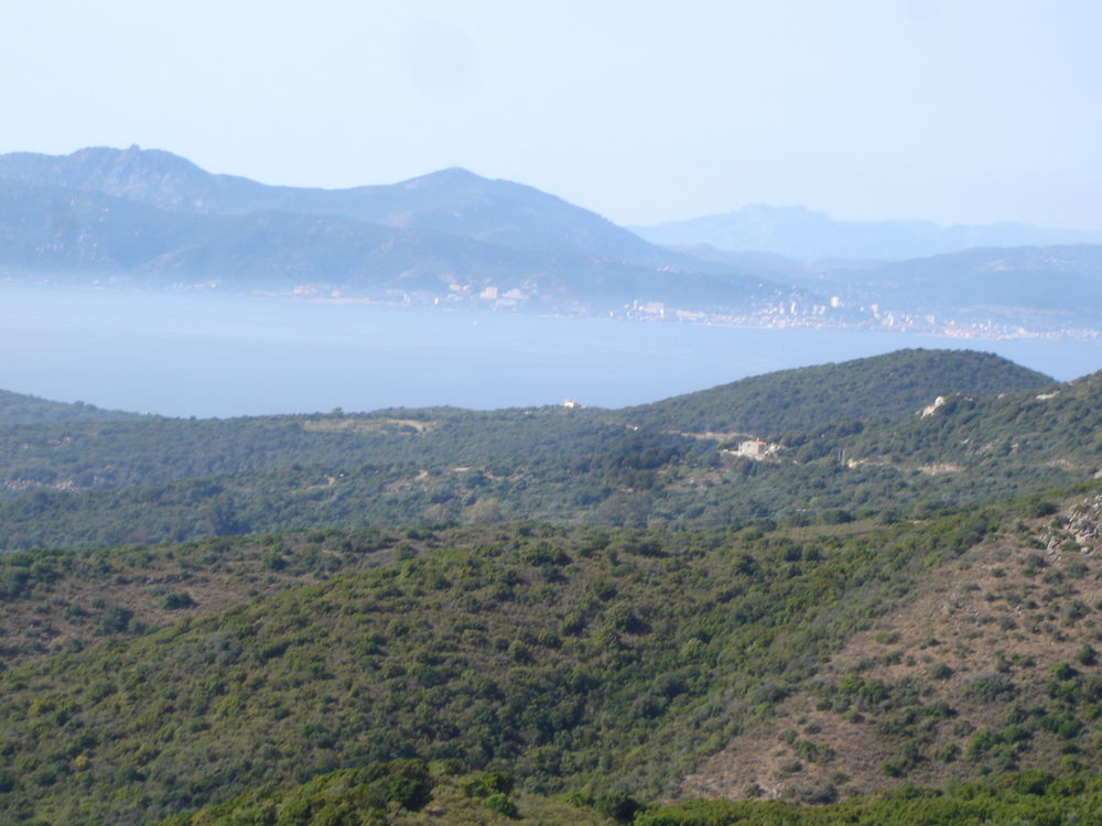 Vente Terrain TERRAINS A BATIR  en CORSE DU SUD Corte