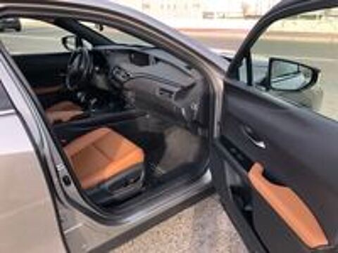 UX 300e Luxe 2022 occasion 06000 Nice