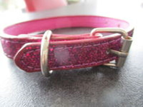   collier pour chiot 