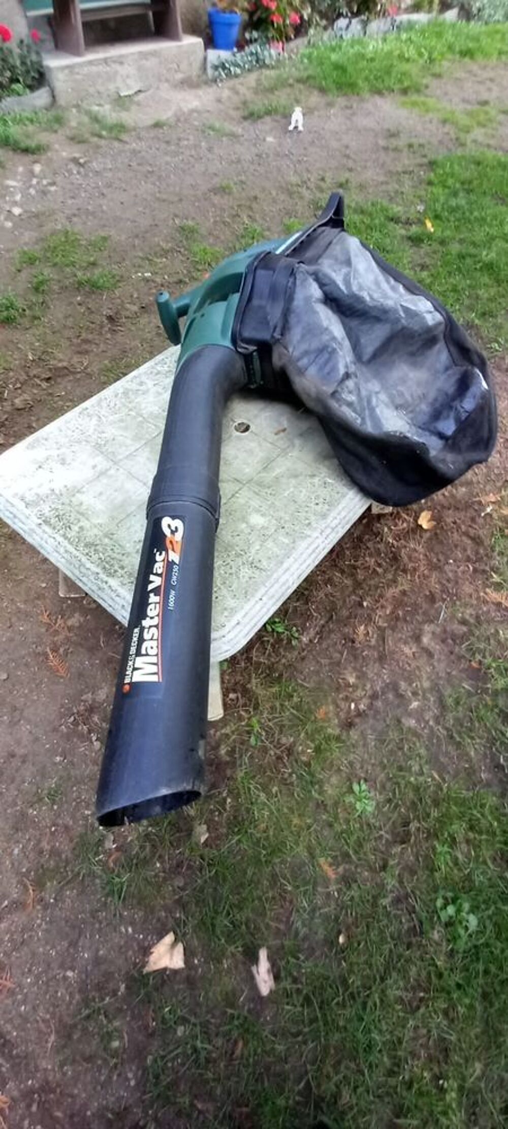 aspirateur souffleur de feuilles. Jardin