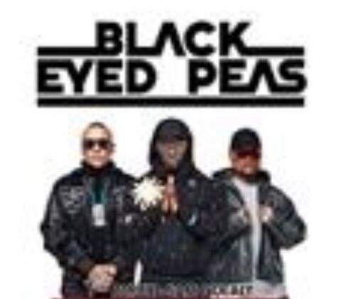 Places concert Black eyed peas 
110 Clermont-Ferrand (63)