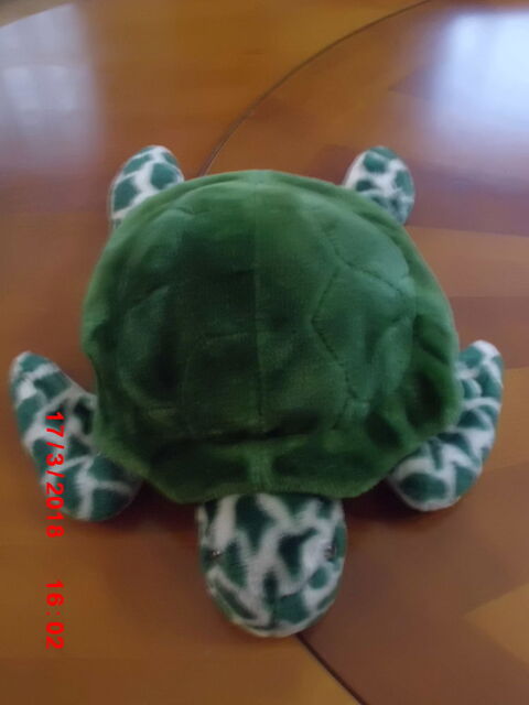 TORTUE VERTE GIPSY 16 Oignies (62)