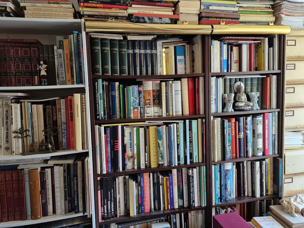 BROCANTE , livres anciens et modernes Livres et BD