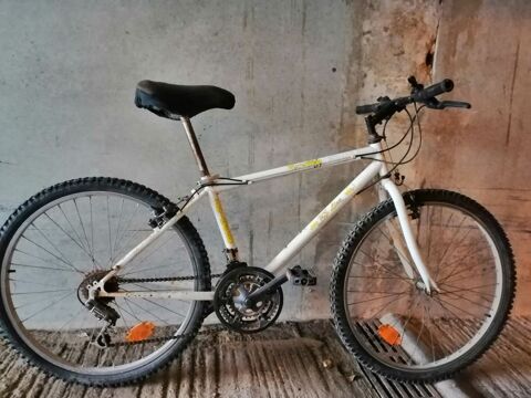 VTT 26  45 Notre-Dame-de-Monts (85)
