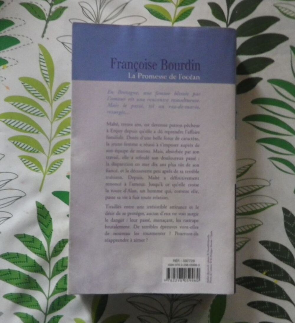 LA PROMESSE DE L'OCEAN de Fran&ccedil;oise BOURDIN France Loisirs Livres et BD