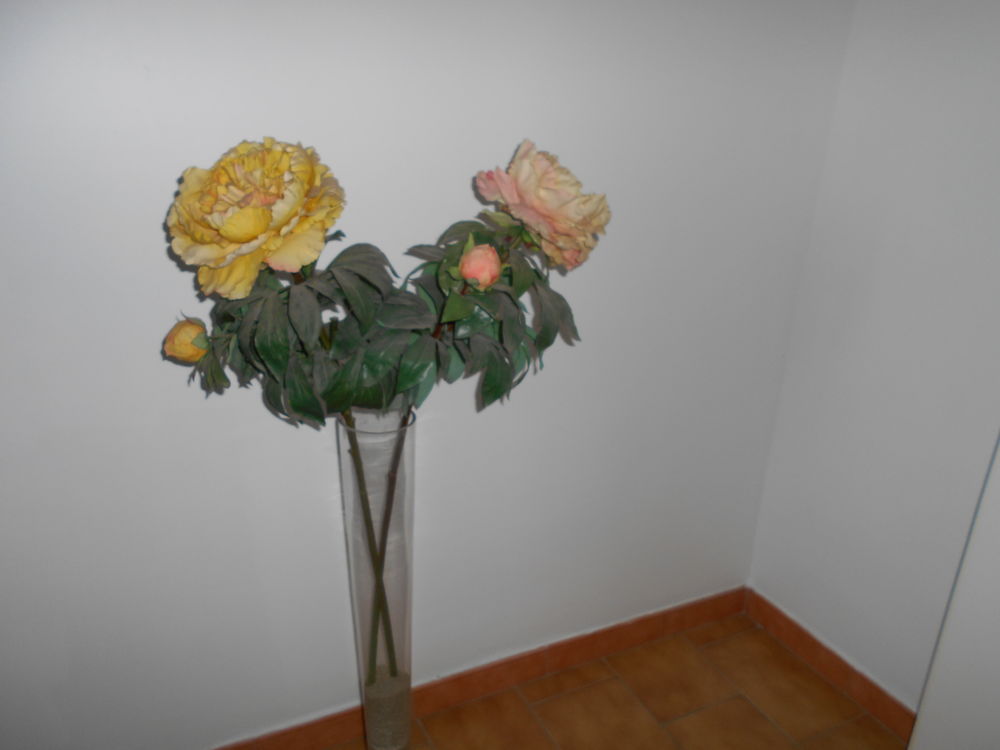 VASE AVEC DEUX FLEURS PIVOINES Décoration