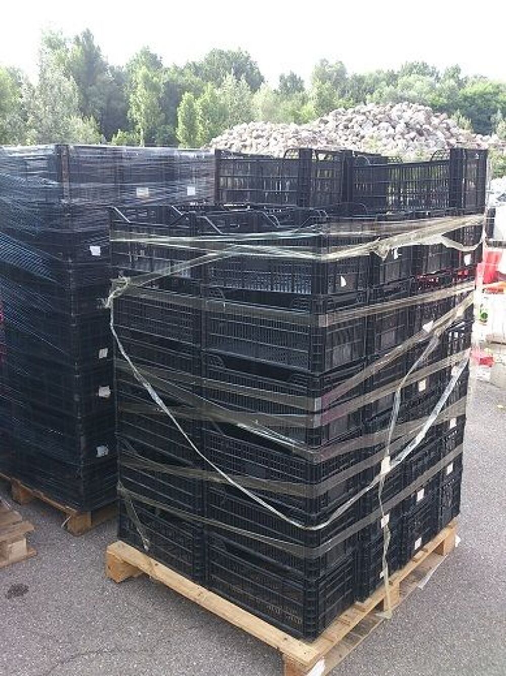 Lot de cagettes en plastique Jardin