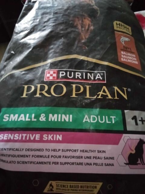 croquette 0 21000 Dijon