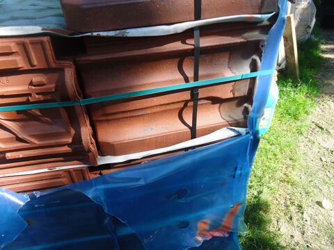 tuile mecanique 10 Montaulin (10)